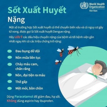 Những điều cần biết về bệnh Sốt xuất huyết