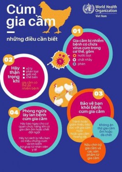 THÔNG TIN VỀ TRƯỜNG HỢP MẮC CÚM A(H5N1) TẠI KHÁNH HOÀ